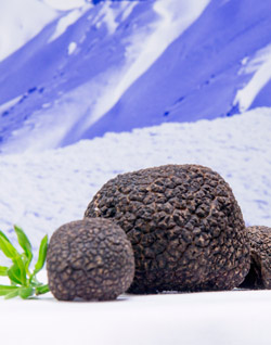 truffles_snow